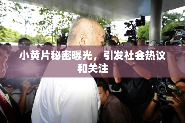 小黄片秘密曝光，引发社会热议和关注