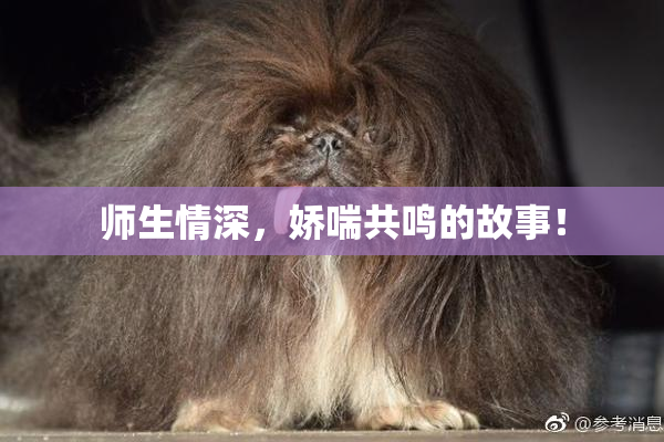 师生情深，娇喘共鸣的故事！