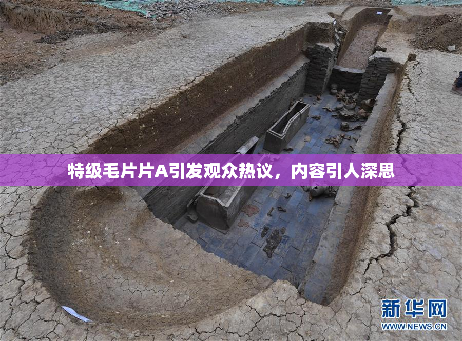 特级毛片片A引发观众热议，内容引人深思