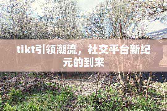 tikt引领潮流，社交平台新纪元的到来