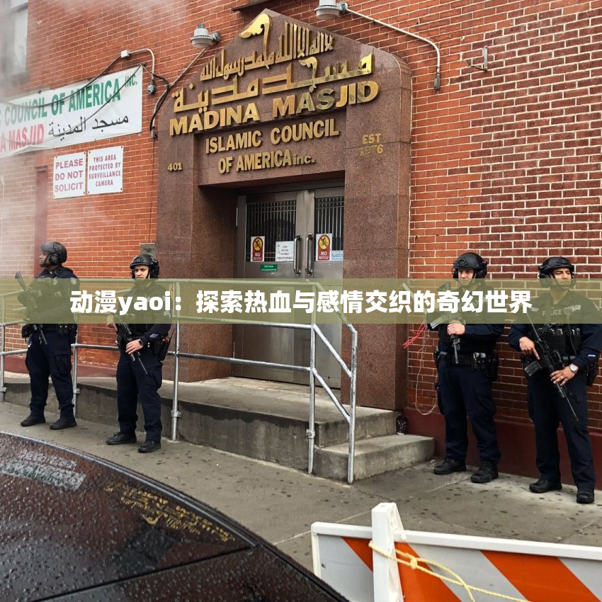 动漫yaoi：探索热血与感情交织的奇幻世界