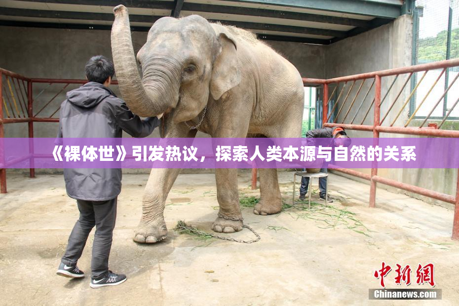 《裸体世》引发热议，探索人类本源与自然的关系