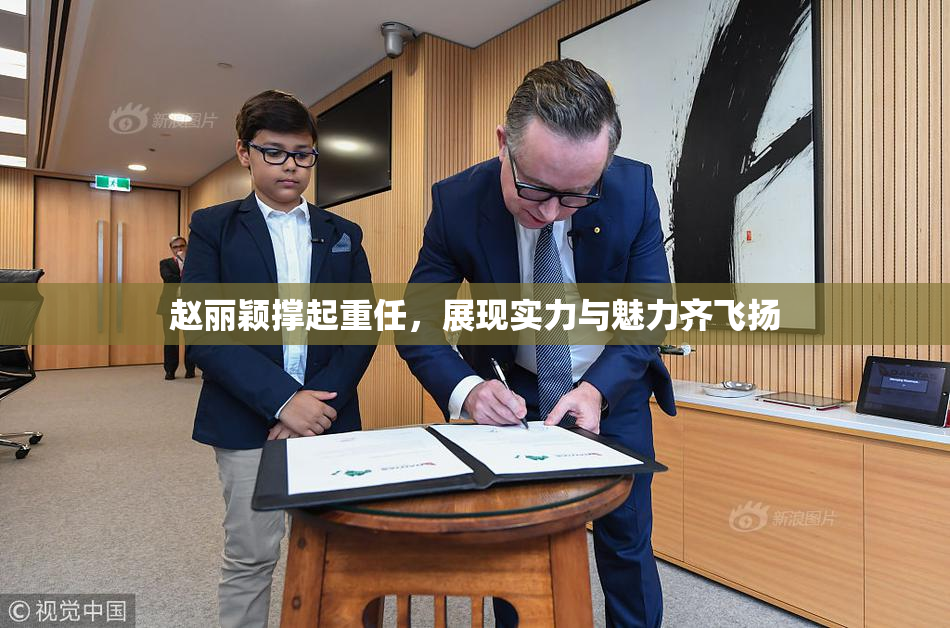 赵丽颖撑起重任，展现实力与魅力齐飞扬