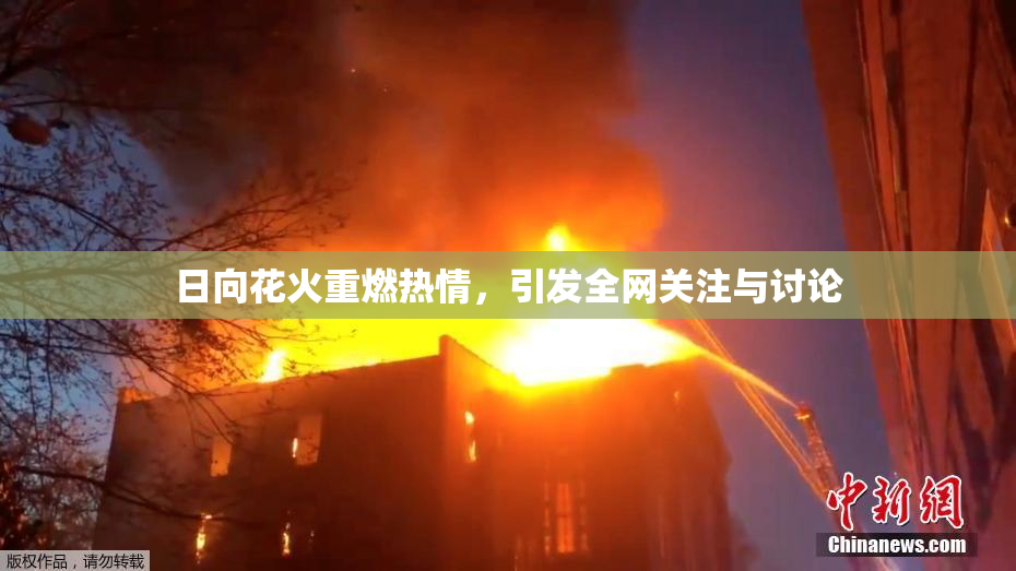 日向花火重燃热情，引发全网关注与讨论