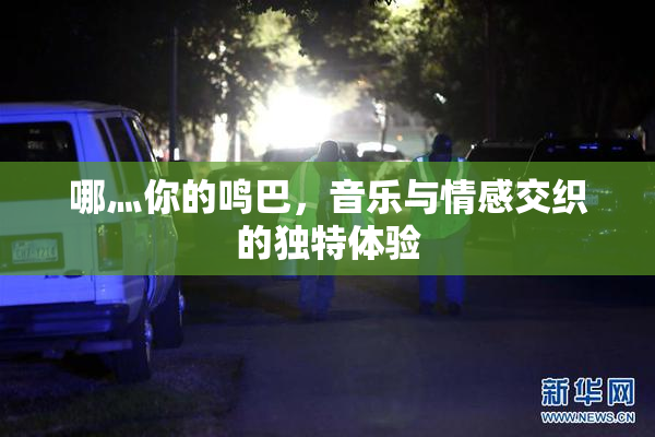 哪灬你的鸣巴，音乐与情感交织的独特体验