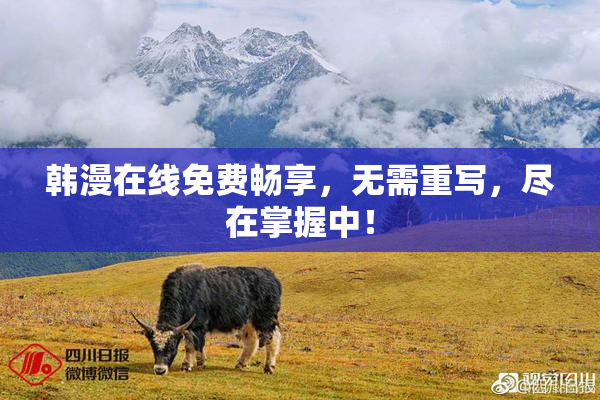 韩漫在线免费畅享，无需重写，尽在掌握中！