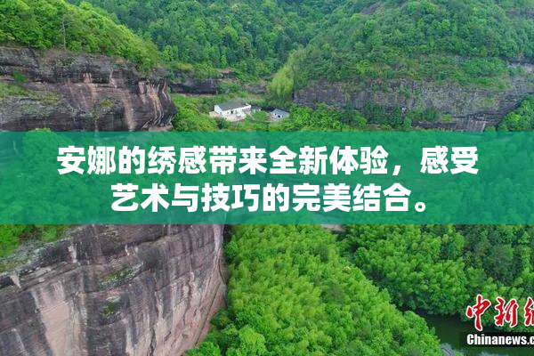 安娜的绣感带来全新体验，感受艺术与技巧的完美结合。