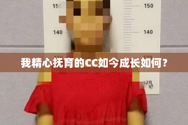 我精心抚育的CC如今成长如何？