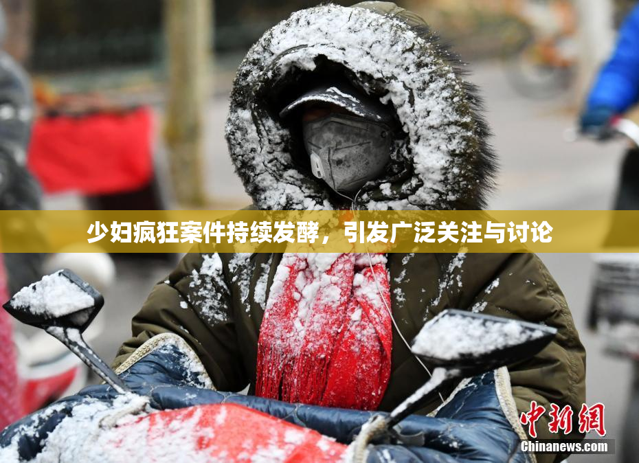 少妇疯狂案件持续发酵，引发广泛关注与讨论