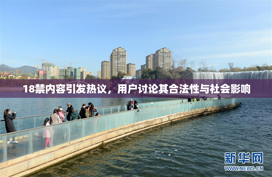 18禁内容引发热议，用户讨论其合法性与社会影响