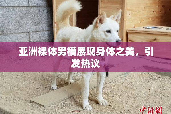 亚洲裸体男模展现身体之美，引发热议