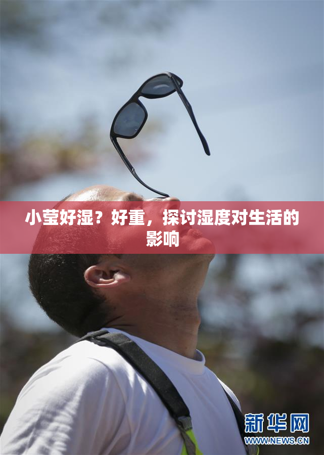 小莹好湿？好重，探讨湿度对生活的影响
