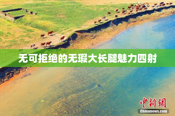 无可拒绝的无瑕大长腿魅力四射