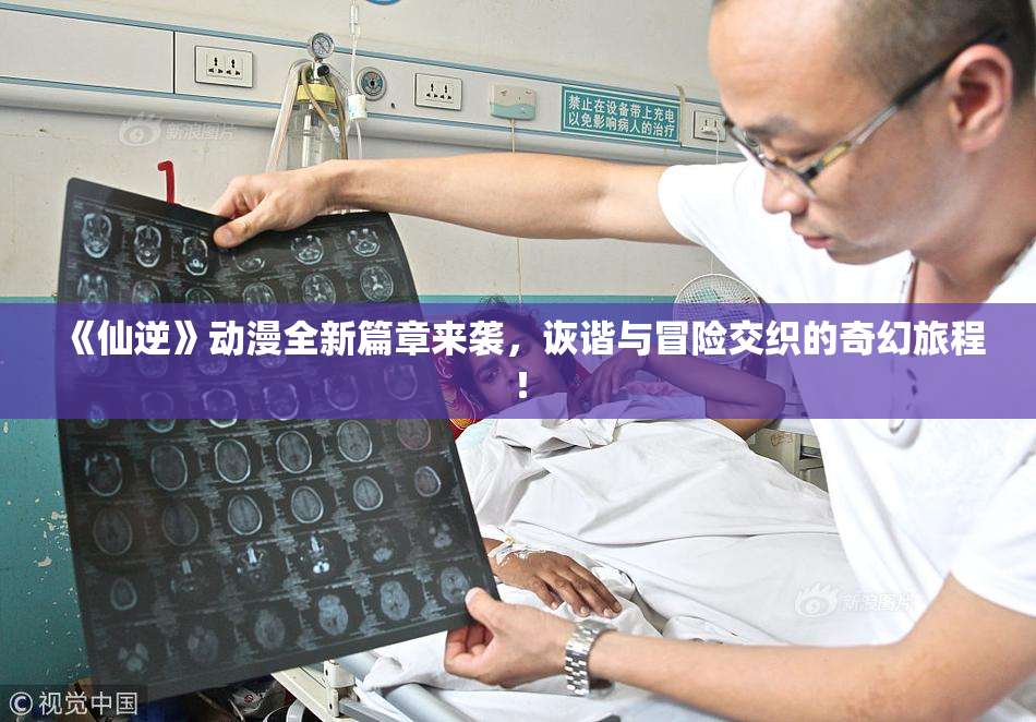 《仙逆》动漫全新篇章来袭，诙谐与冒险交织的奇幻旅程！