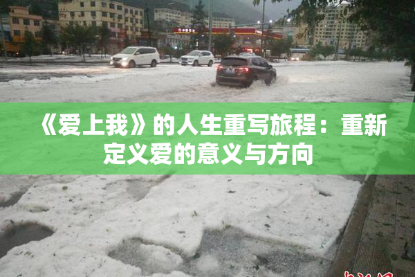 《爱上我》的人生重写旅程：重新定义爱的意义与方向