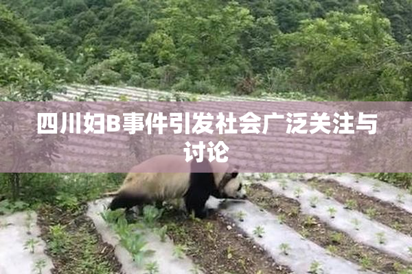 四川妇B事件引发社会广泛关注与讨论