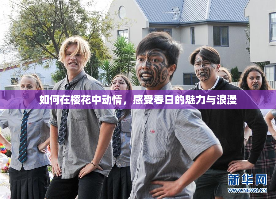 如何在樱花中动情，感受春日的魅力与浪漫