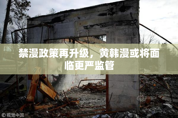 禁漫政策再升级，黄韩漫或将面临更严监管