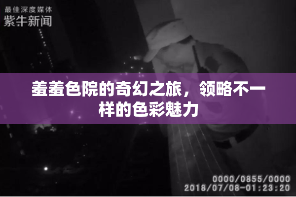 羞羞色院的奇幻之旅，领略不一样的色彩魅力