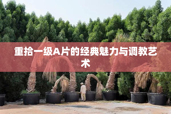 重拾一级A片的经典魅力与调教艺术