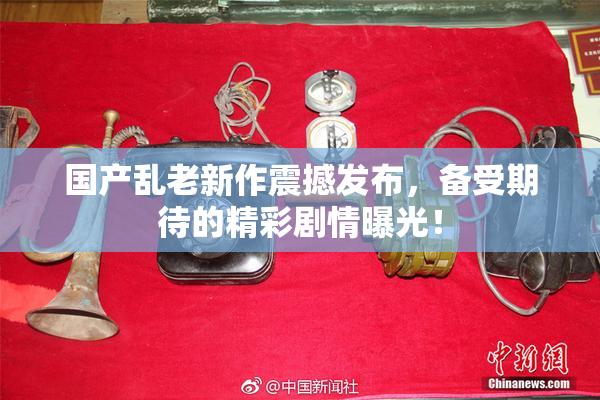 国产乱老新作震撼发布，备受期待的精彩剧情曝光！