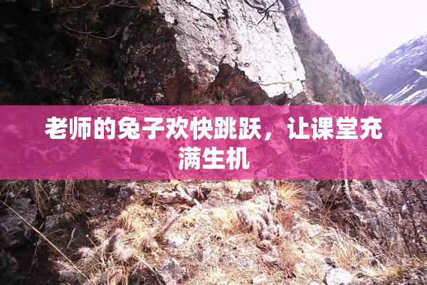 老师的兔子欢快跳跃，让课堂充满生机