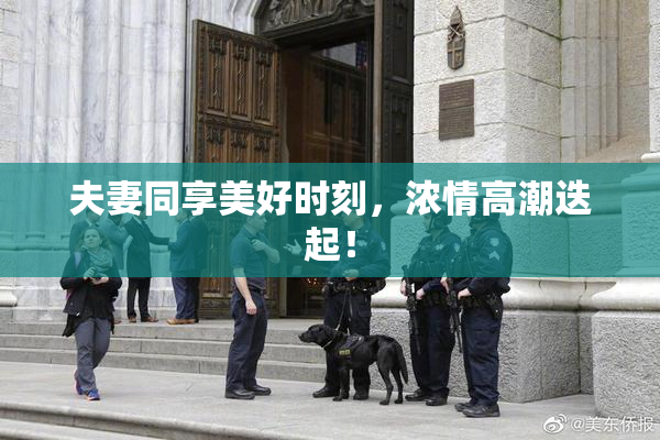 夫妻同享美好时刻，浓情高潮迭起！