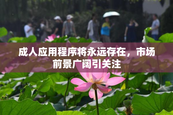 成人应用程序将永远存在，市场前景广阔引关注