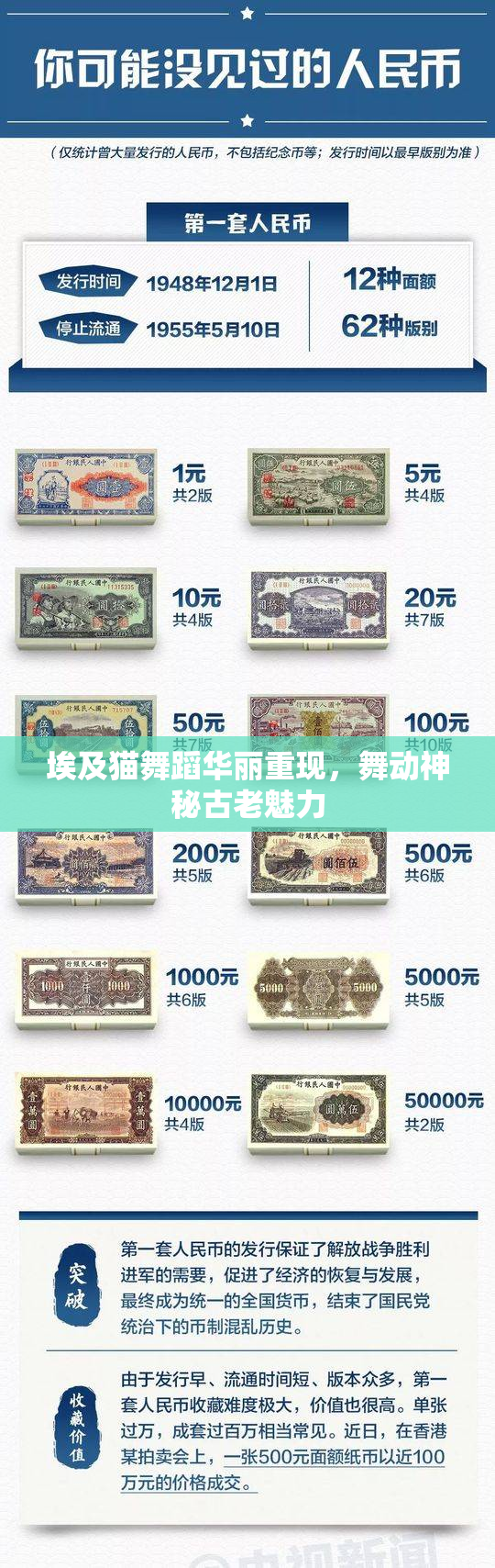 埃及猫舞蹈华丽重现，舞动神秘古老魅力