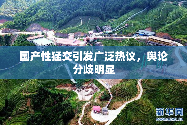 国产性猛交引发广泛热议，舆论分歧明显