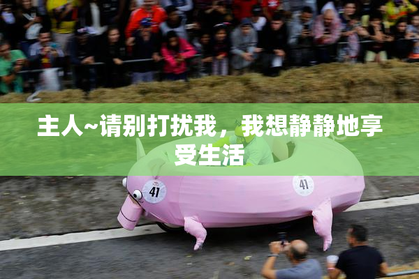 主人~请别打扰我，我想静静地享受生活