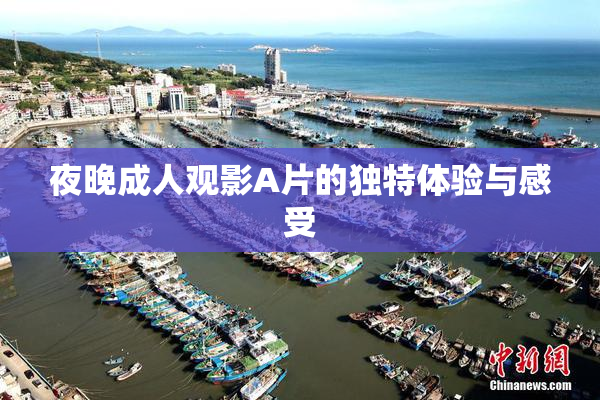 夜晚成人观影A片的独特体验与感受