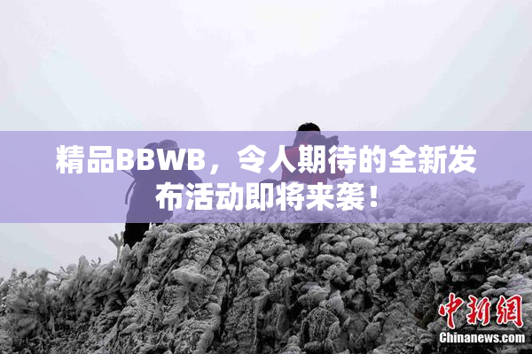 精品BBWB，令人期待的全新发布活动即将来袭！