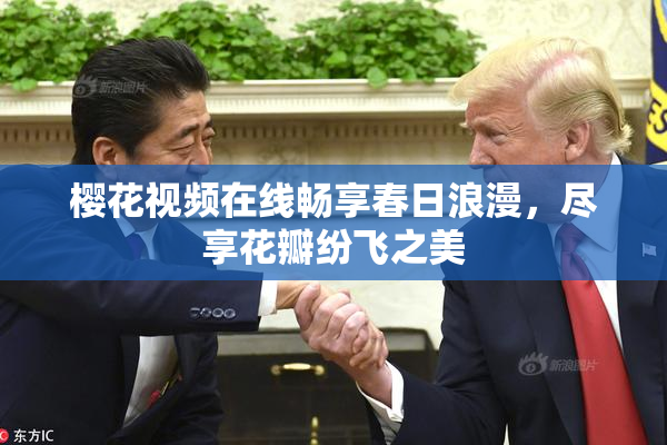 樱花视频在线畅享春日浪漫，尽享花瓣纷飞之美