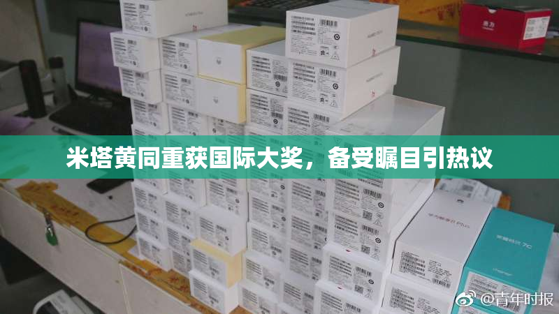 米塔黄同重获国际大奖，备受瞩目引热议