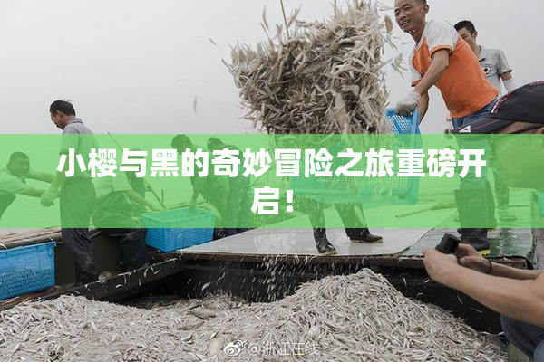 小樱与黑的奇妙冒险之旅重磅开启！