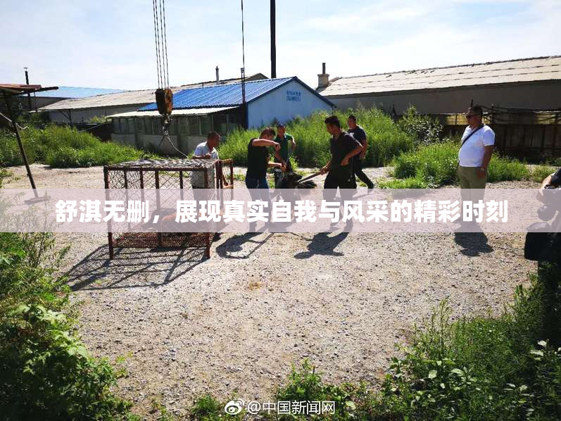 舒淇无删，展现真实自我与风采的精彩时刻