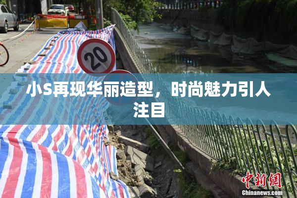 小S再现华丽造型，时尚魅力引人注目