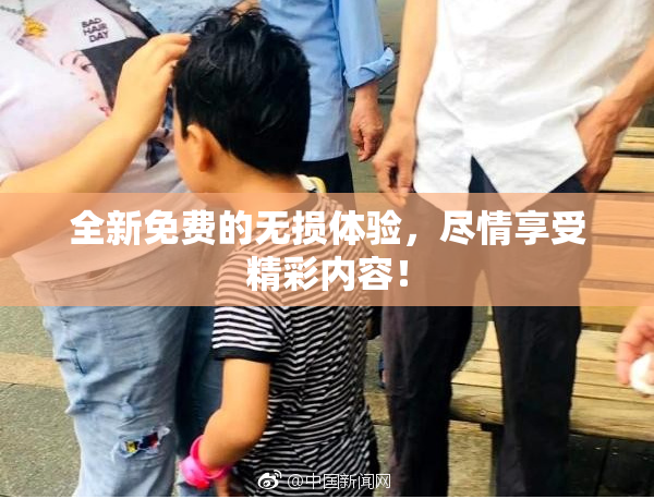 全新免费的无损体验，尽情享受精彩内容！