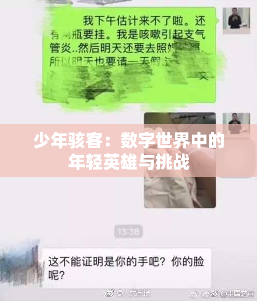 少年骇客：数字世界中的年轻英雄与挑战