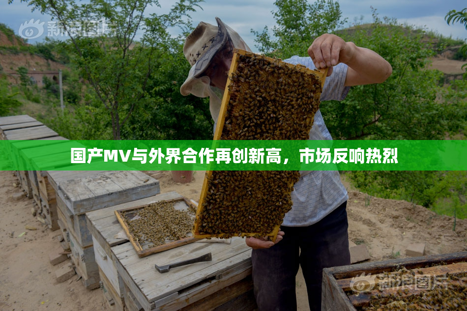 国产MV与外界合作再创新高，市场反响热烈