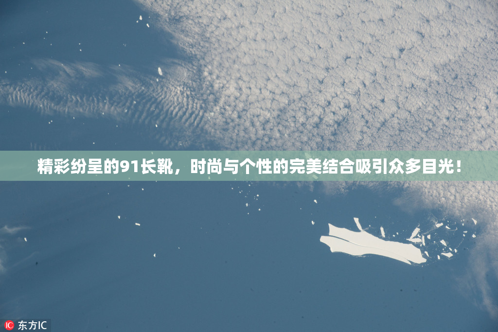 精彩纷呈的91长靴，时尚与个性的完美结合吸引众多目光！