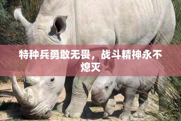 特种兵勇敢无畏，战斗精神永不熄灭