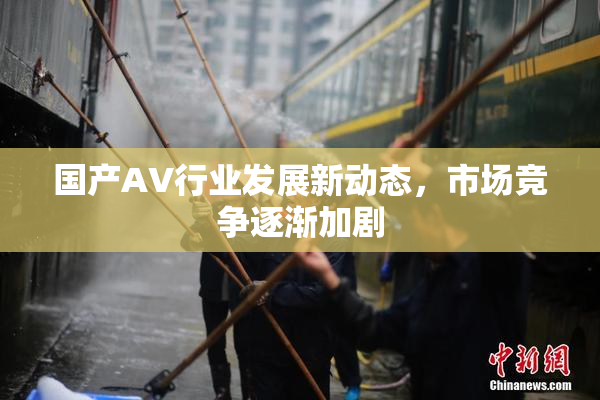 国产AV行业发展新动态，市场竞争逐渐加剧