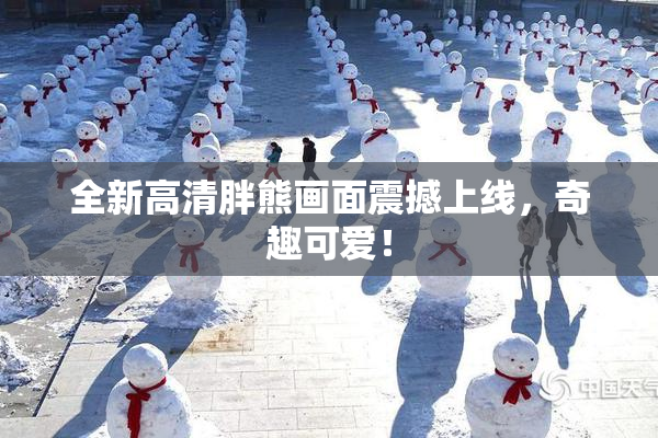 全新高清胖熊画面震撼上线，奇趣可爱！