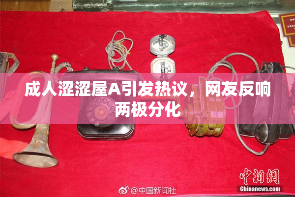成人涩涩屋A引发热议，网友反响两极分化