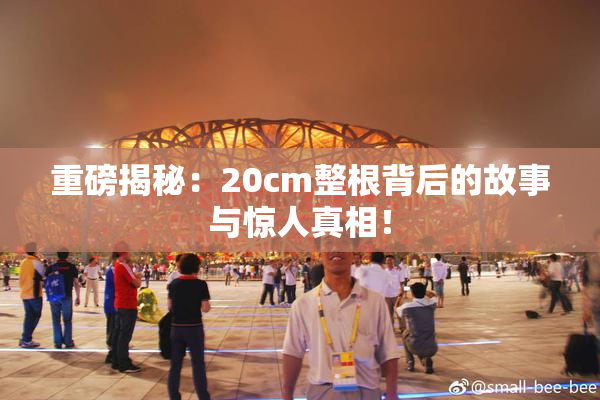 重磅揭秘：20cm整根背后的故事与惊人真相！