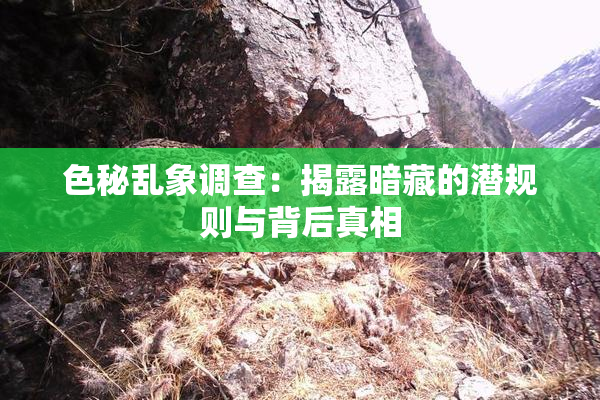 色秘乱象调查：揭露暗藏的潜规则与背后真相