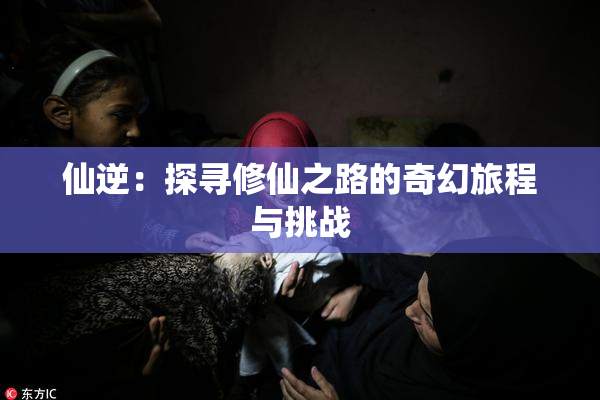 仙逆：探寻修仙之路的奇幻旅程与挑战