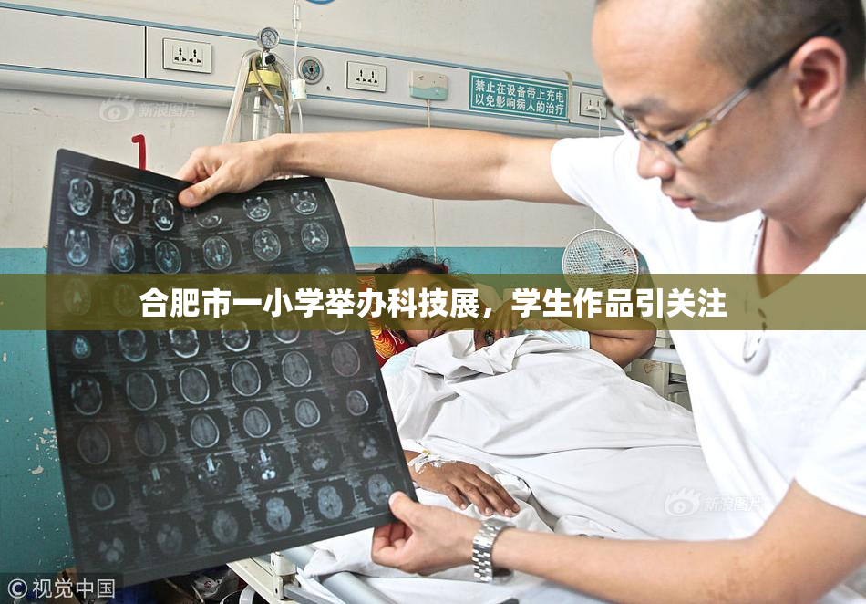 合肥市一小学举办科技展，学生作品引关注
